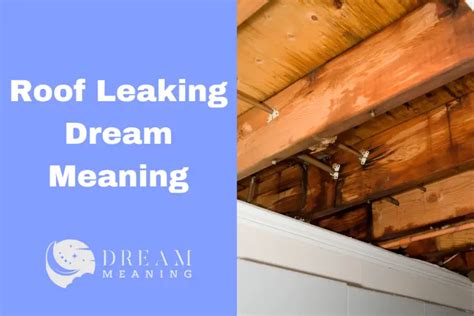 dreams about roof leaking|What Dream About Leaking Roof Means